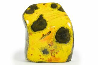 Very Vibrant, Free-Standing Polished Bumblebee Jasper #309705