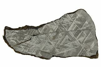 Etched Iron Meteorite Slice ( g) - NWA (prov) #309809