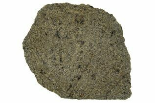 Martian Meteorites For Sale