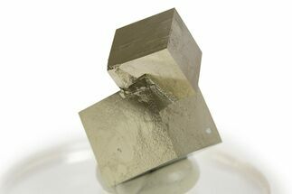 Shiny, Natural Pyrite Cube Cluster - Navajun, Spain #307052