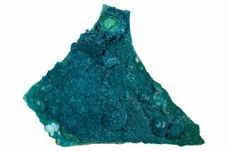 Vibrant Teal Botryoidal Chrysocolla and Malachite - Chile #310119