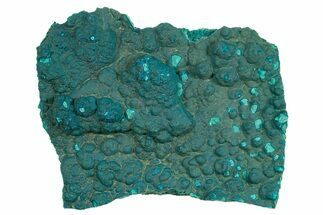 Teal Botryoidal Chrysocolla and Malachite - Chile #310120