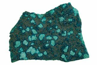 Teal Botryoidal Chrysocolla and Malachite - Chile #310146