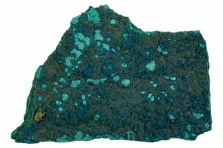 Teal Botryoidal Chrysocolla and Malachite - Chile #310149