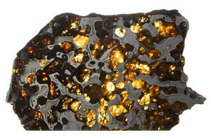 Brenham Pallasite Meteorites For Sale - FossilEra.com