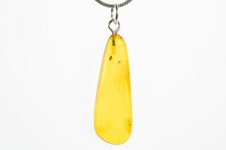 Polished Baltic Amber Pendant (Necklace) - Contains Two Flies! #310998