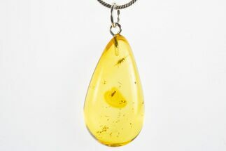 Polished Baltic Amber Pendant (Necklace) - Contains Two Flies! #311011