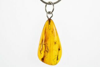 Polished Baltic Amber Pendant (Necklace) - Contains Three Flies! #311017