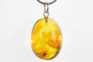 Polished Baltic Amber Pendant (Necklace) - Contains Two Flies! #311024