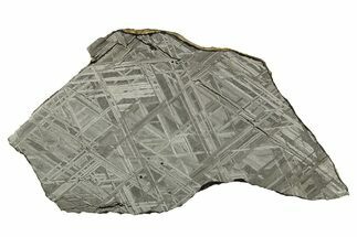 Etched Iron Meteorite Slice (g) - NWA (prov) #311206