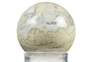 Polished Agatized Fossil Coral Sphere - Indonesia #311526