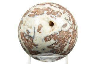 Polished Crazy Lace Agate Sphere - Mexico #311640