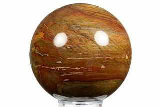 Colorful Chinchilla Petrified Wood (Conifer) Sphere - Australia #311726