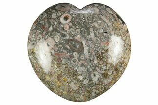 Colorful Fossil Crinoid Stems In Marble Heart #311925