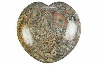 Colorful Fossil Crinoid Stems In Marble Heart #311926