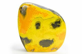 Very Vibrant, Free-Standing Polished Bumblebee Jasper #312052