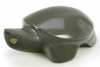 Polished Siltstone with Pyrite Turtle - Alaska #311893