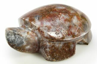 Polished Colorful King Cobra Jasper Turtle - India #311902