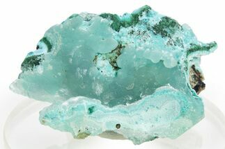 Chatoyant Hemimorphite on Malachite & Chrysocolla - Congo #312461