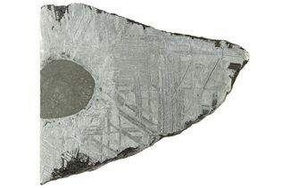 Muonionalusta Meteorites For Sale