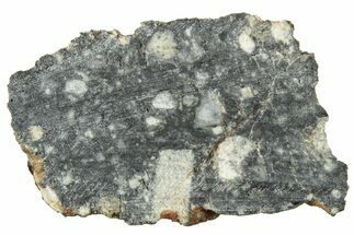 Polished Lunar Meteorite ( g) Section - NWA #312860