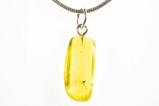 Polished Baltic Amber Pendant (Necklace) - Contains Fly! #312191