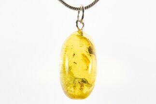 Polished Baltic Amber Pendant (Necklace) - Contains Flies! #312194