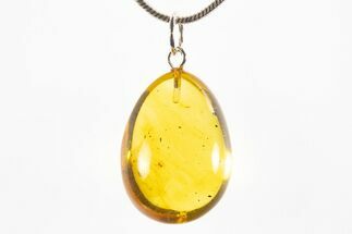 Polished Baltic Amber Pendant (Necklace) - Contains Spider! #312200