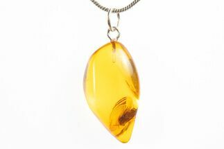 Polished Baltic Amber Pendant (Necklace) - Contains Caddisfly! #312213