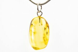 Polished Baltic Amber Pendant (Necklace) - Contains Flies! #312215