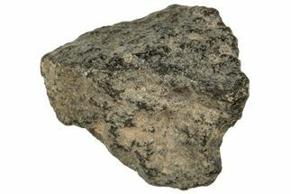 Abadla CM Chondrite Meteorite ( g) - Algeria #313031