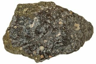 Abadla CM Chondrite Meteorite ( g) - Algeria #313032