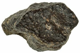 Abadla CM Chondrite Meteorite ( g) - Algeria #313042