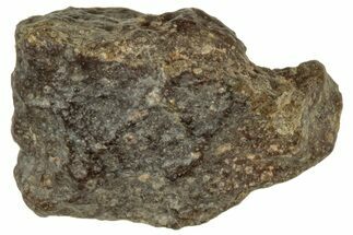 Abadla CM Chondrite Meteorite ( g) - Algeria #313044