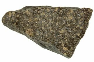 Abadla CM Chondrite Meteorite ( g) - Algeria #313060