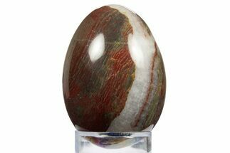 Polished Red and Green Snakeskin Jasper Egg - Western Australia #312702