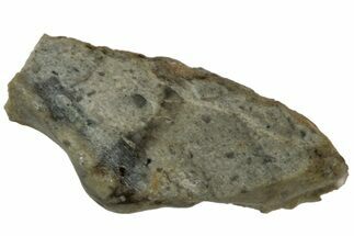 Polished Lunar Meteorite ( g) Fragment - NWA #313175