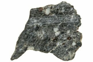 Lunar Meteorite ( g) Slice - Laayoune #313345