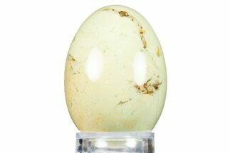Polished Citron (Lemon) Chrysoprase Egg - Western Australia #312672