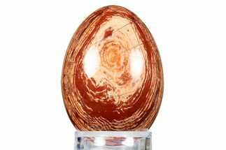 Polished Snakeskin Jasper Egg - Western Australia #312677