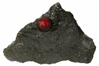 Red Embers Garnet in Graphite - Massachusetts #313420