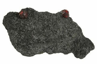 Plate of Two Red Embers Garnets in Graphite - Massachusetts #313424