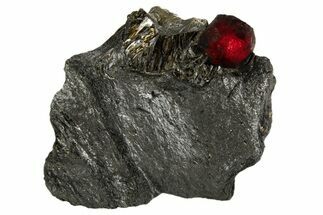 Red Embers Garnet in Graphite - Massachusetts #313429