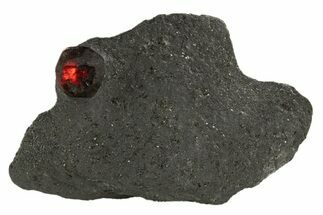 Red Embers Garnet in Graphite - Massachusetts #313442