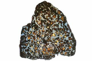 Polished Sericho Pallasite Meteorite ( g) Slice - Kenya #313664