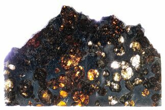 Polished Sericho Pallasite Meteorite ( g) Slice - Kenya #313681