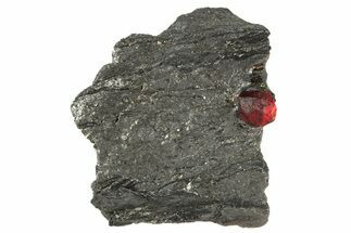 Red Embers Garnet in Graphite - Massachusetts #313480