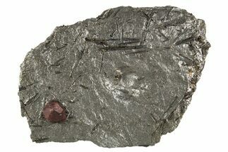 Red Embers Garnet in Graphite - Massachusetts #313629