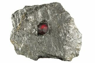 Red Embers Garnet in Graphite - Massachusetts #313647