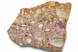 Polished Brecciated Chert Slab - Australia #314253